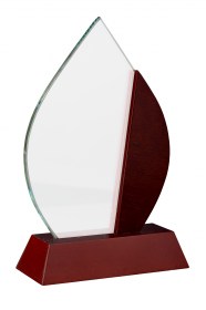 Trofee din Lemn WT 105